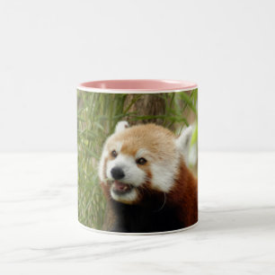 red-panda-033 Två-Tonad mugg