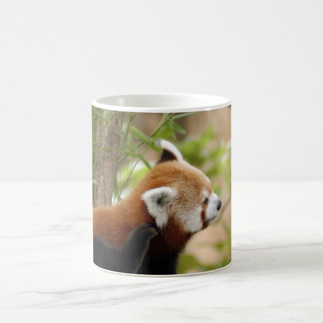 red-panda-035 magisk mugg (Center)