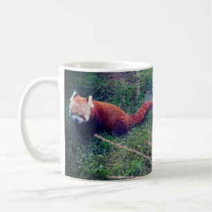 Red Panda #1 Mugg