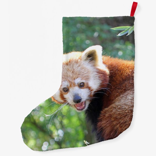 Red_Panda_2015_0306 Stor Julstrumpa (Baksidan)