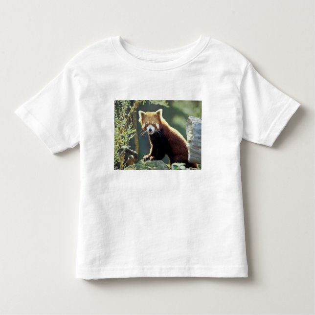 Red Panda Ailurus fulgens) T-shirt (Framsida)