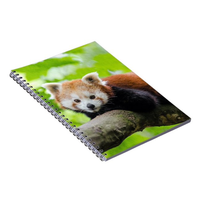 Red Panda Anteckningsbok (Högra Sidan)