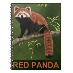 Red Panda Anteckningsbok Med Spiral