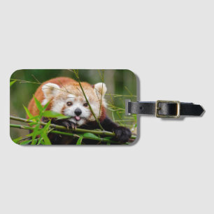 Red Panda Bagagebricka