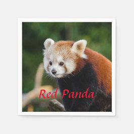 Red Panda Bear Pappersservett