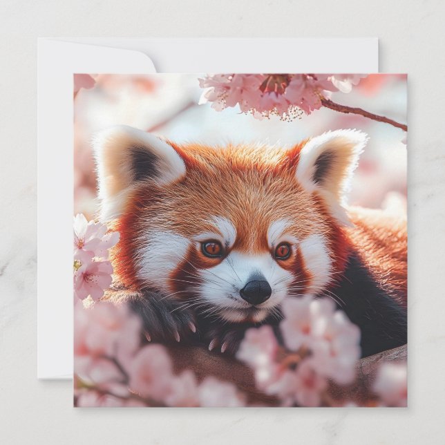 Red Panda Bland Cherry-Blommar Julkort (Framsida)