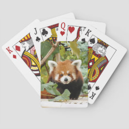 Red Panda Casinokort
