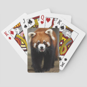 Red Panda Casinokort