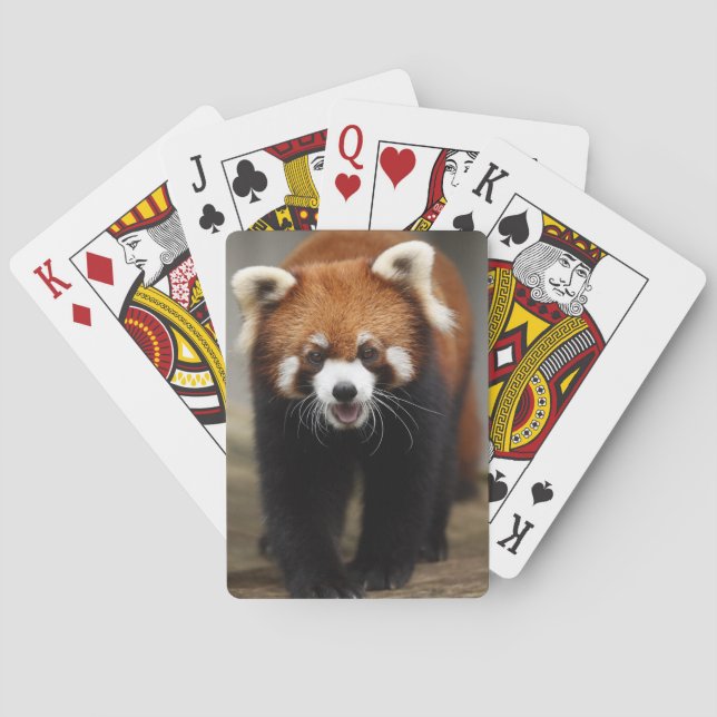 Red Panda Casinokort (Baksidan)