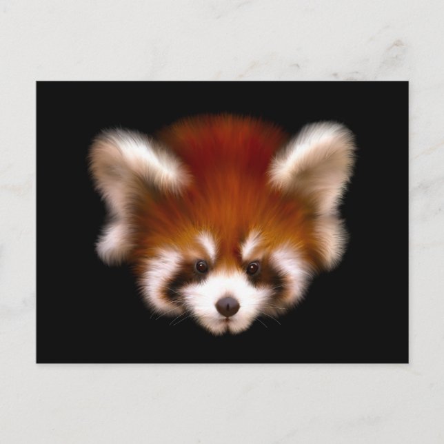 Red Panda Design Vykort (Framsida)