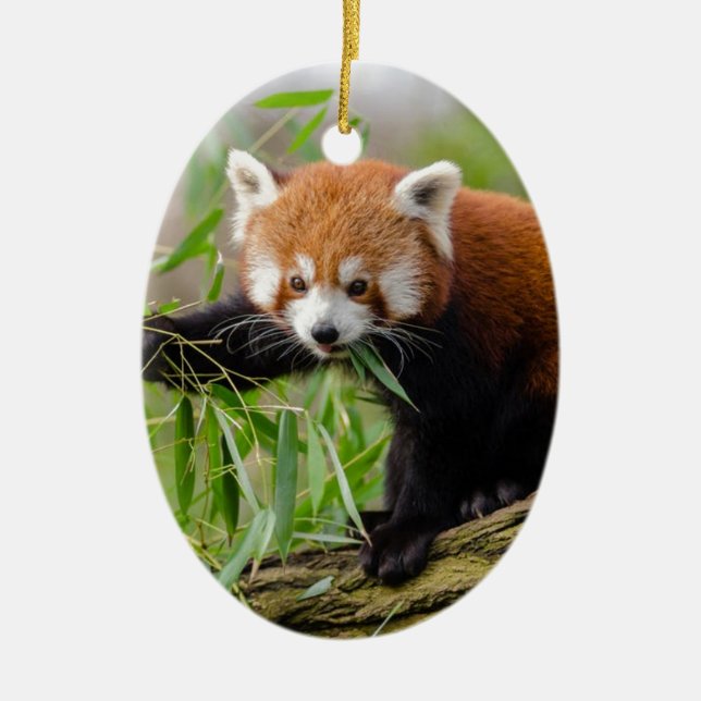 Red Panda Eating Grönt Löv Julgransprydnad Keramik (Framsidan)