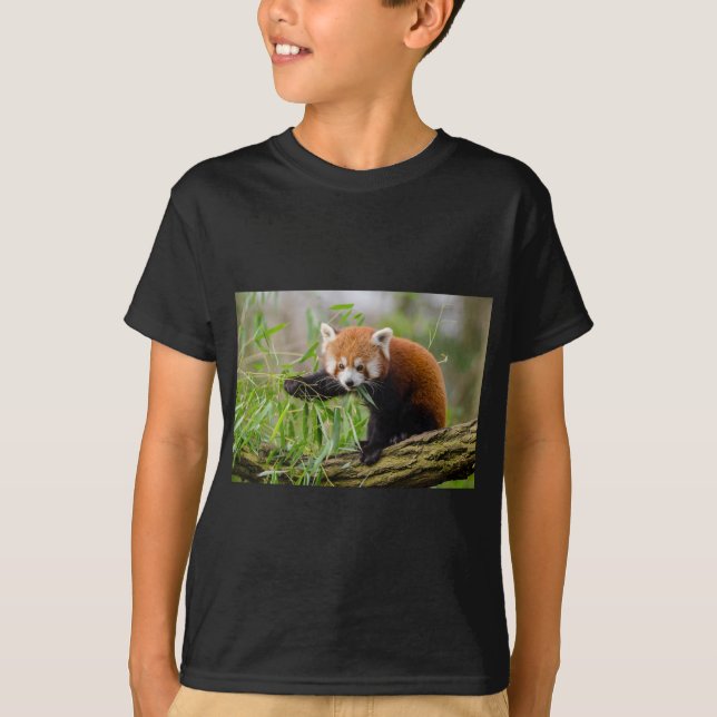 Red Panda Eating Grönt Löv Tee Shirt (Framsida)