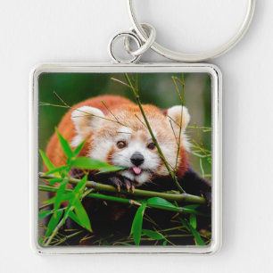 Red Panda Fyrkantig Silverfärgad Nyckelring