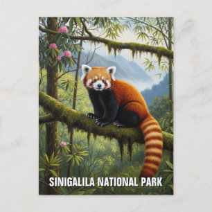 Red Panda i Singalila nationalparksresa Vykort
