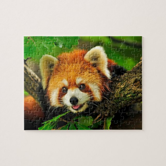 Red Panda Jigszle Puzzle Pussel (Horisontell)