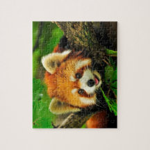 Red Panda Jigszle Puzzle
