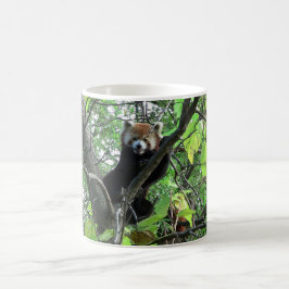 Red Panda Kaffemugg