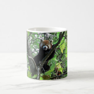 Red Panda Kaffemugg