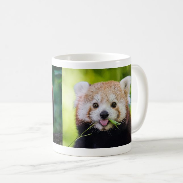 Red Panda Kaffemugg (Framsida höger)