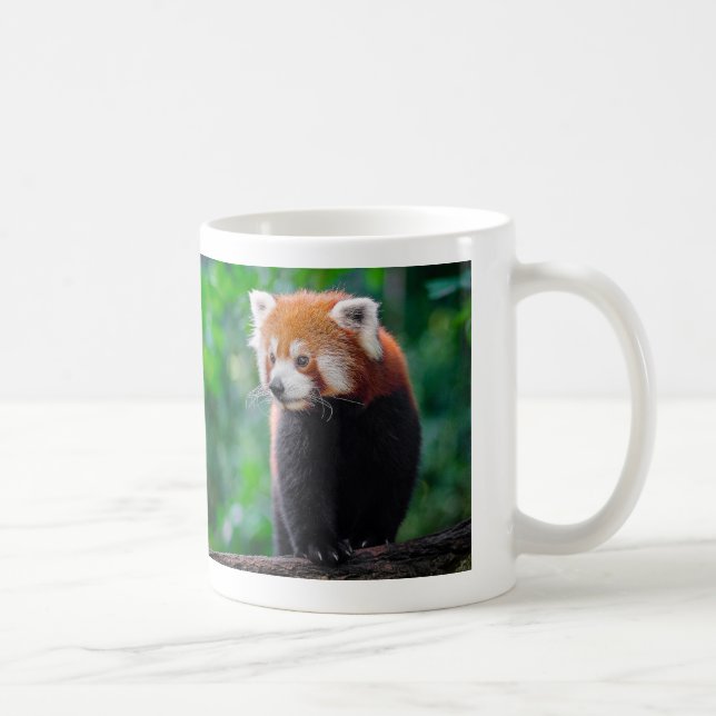 Red Panda Kaffemugg (Höger)