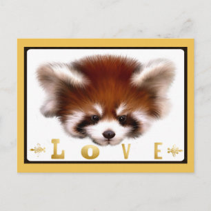 Red Panda Kärlek Vykort