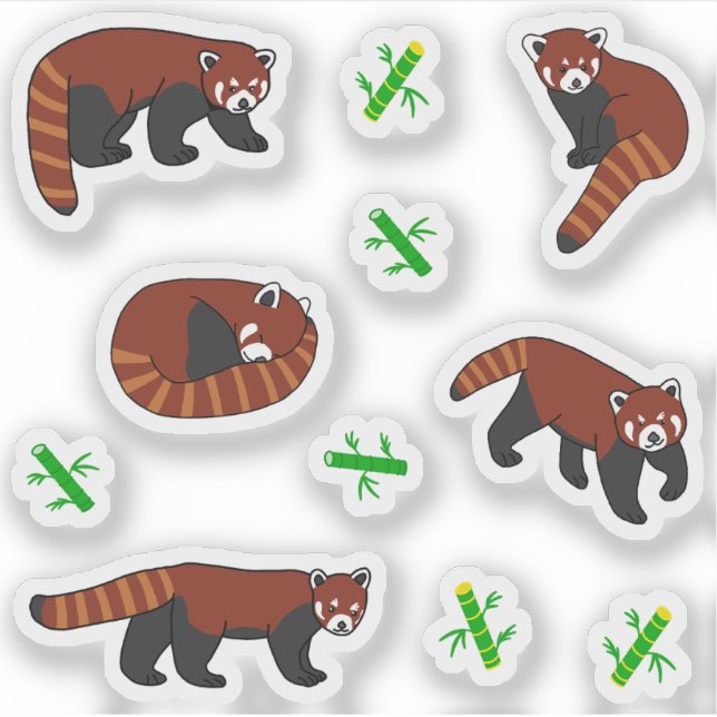 Red Panda Klistermärken (Framsida)