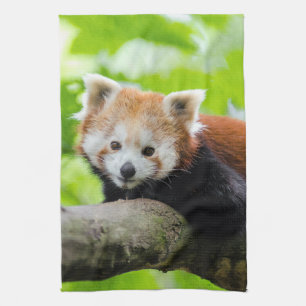 Red Panda Kökshandduk