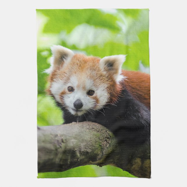 Red Panda Kökshandduk (Vertikal)