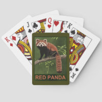 Red Panda