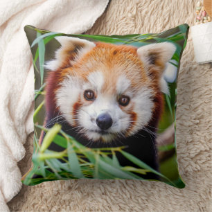 Red Panda Kudde