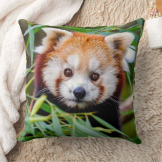 Red Panda Kudde