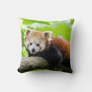Red Panda Kudde