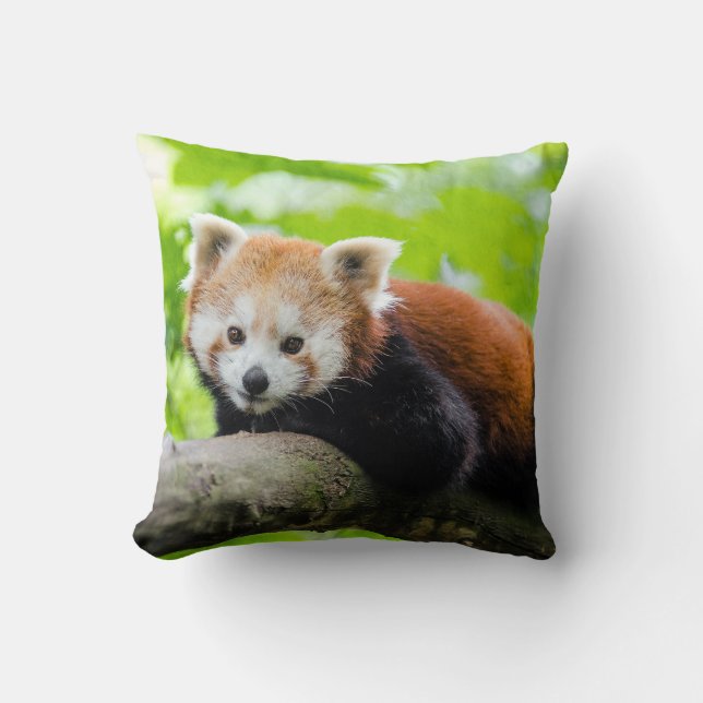 Red Panda Kudde (Framsida)
