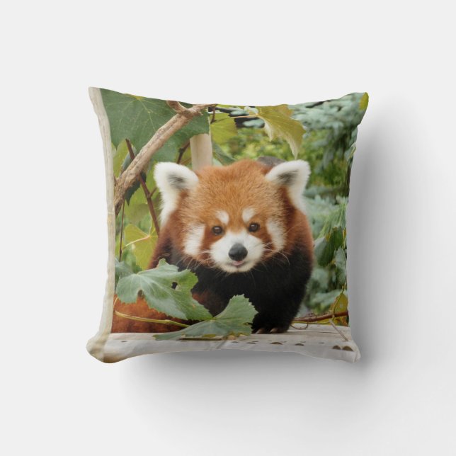 Red Panda Kudde (Framsida)