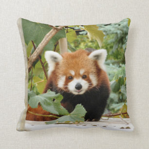 Red Panda Kudde