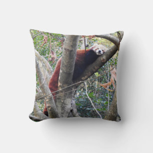 Red Panda Kudde