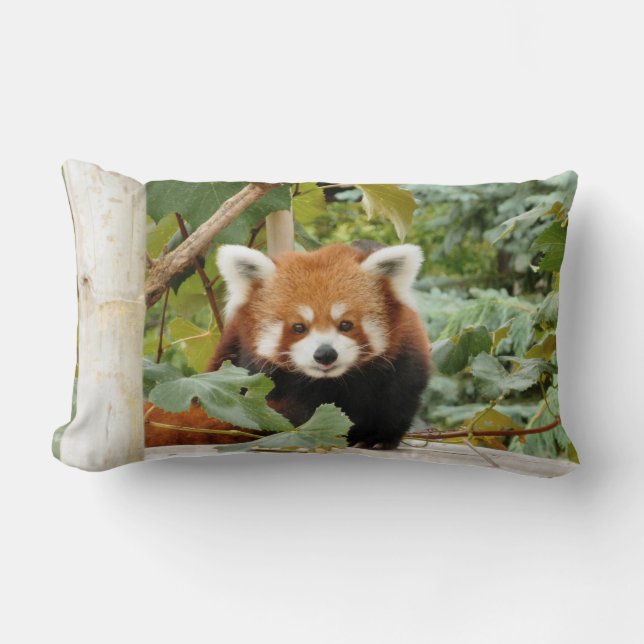 Red Panda Lumbarkudde (Framsida)