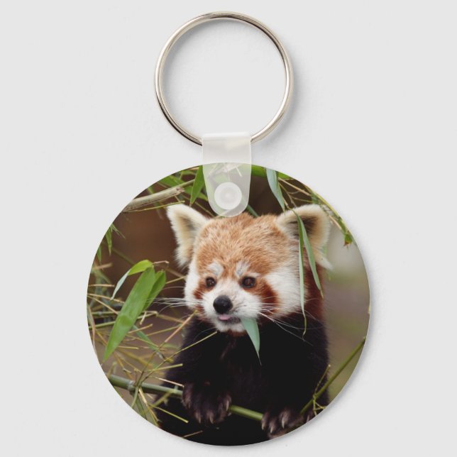 Red Panda Nyckelring (Framsida)