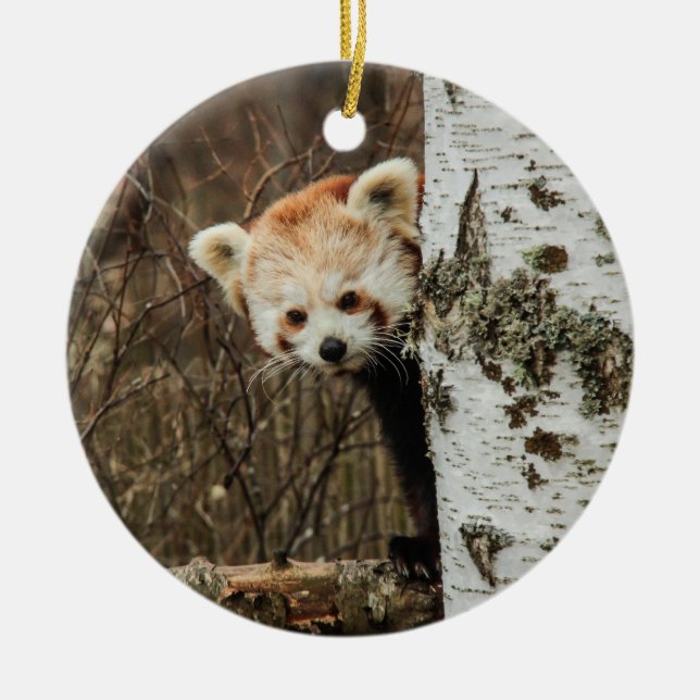 Red Panda Ornament (Framsidan)