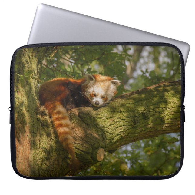 RED PANDA PÅ GRÖNT TRÄD GREN LAPTOP FODRAL (Framsidan)
