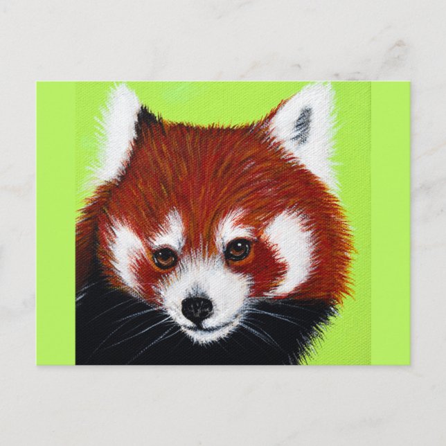 Red Panda Painting Vykort (Framsida)