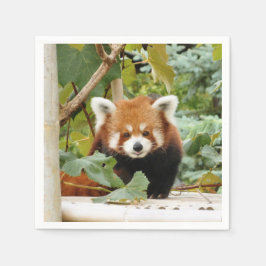 Red Panda Pappersservett