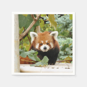 Red Panda Pappersservett