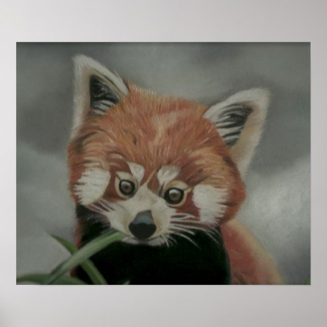Red Panda Pastel Painting Artwork Poster (Framsidan)