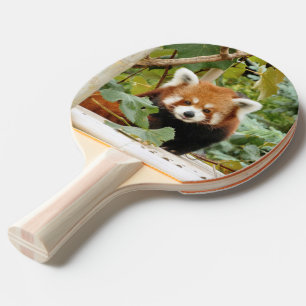 Red Panda Pingisracket