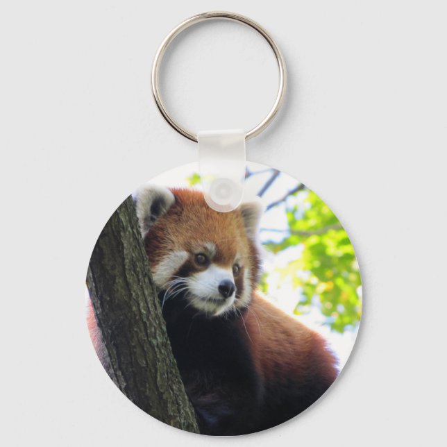 Red Panda Porträtt Nyckelring (Framsida)