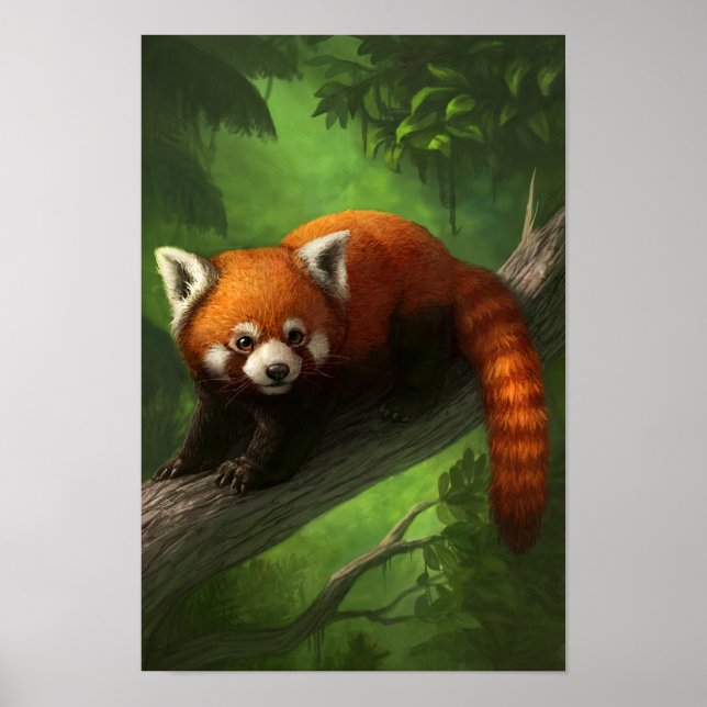 Red Panda Poster (Framsidan)