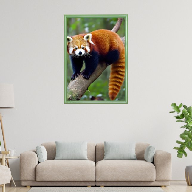 Red Panda Poster (Skapare uppladdad)