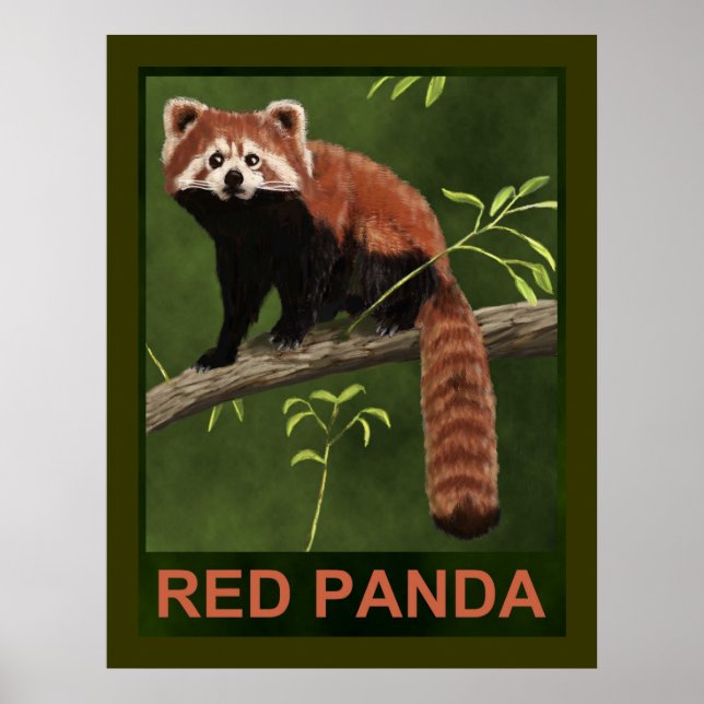 Red Panda Poster (Framsidan)