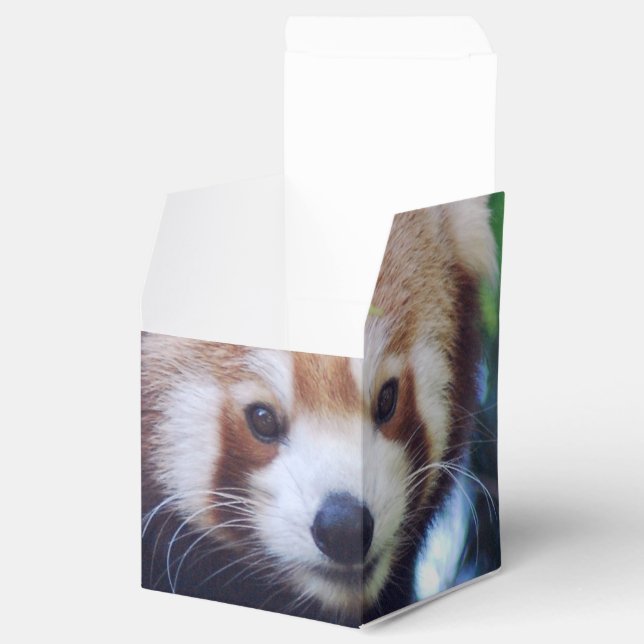 Red Panda Presentaskar (Öppnad)